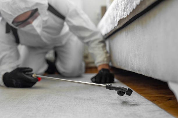 Professional Termite Control technician working in Altoona, AL