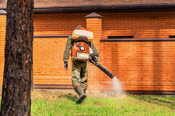Trusted Cockroach Control service in Altoona, AL - Nex Pest Control